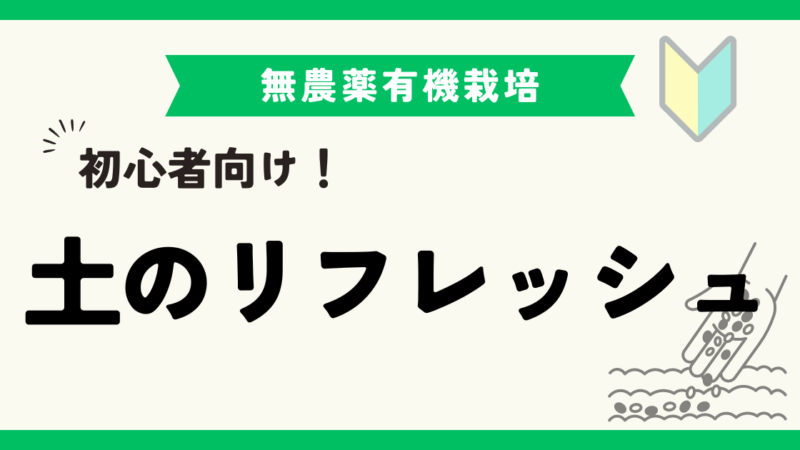 自然の力を利用！太陽熱消毒と寒おこしで初心者でも簡単に土をリフレッシュ 